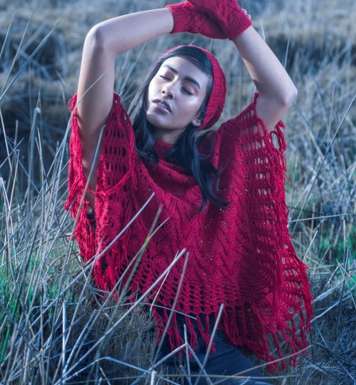 imagen (6)